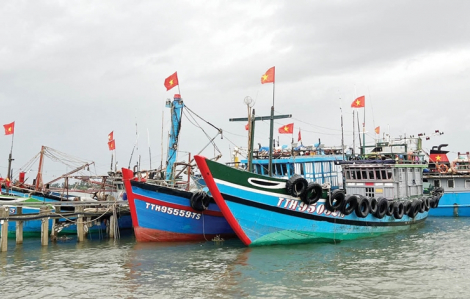 Cứu 2 thuyền viên gặp nạn trên biển, ngưng tàu ra đảo Lý Sơn