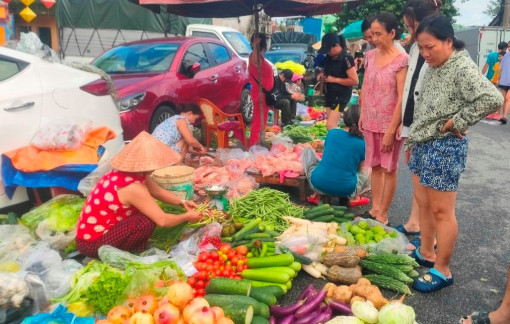 30.000 đồng/trái khổ qua, dân vùng lũ phải "cắn răng" mua