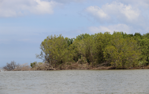 Cà Mau kiến nghị Trung ương hỗ trợ 2.070 tỉ đồng khắc phục sạt lở