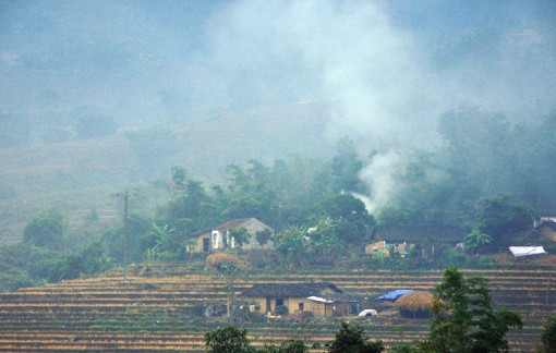 Chiều nay, gió đông về