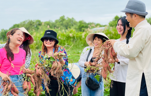 Về Trà Vinh, khách mê tít khi trồng hành, thu hoạch khoai lang, chơi lô tô vịt...