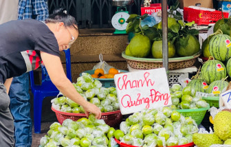 Chanh Quảng Đông ồ ạt về chợ theo trend trà chanh giã tay