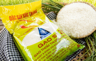 ST25 lần thứ 2 đạt “gạo ngon nhất thế giới”