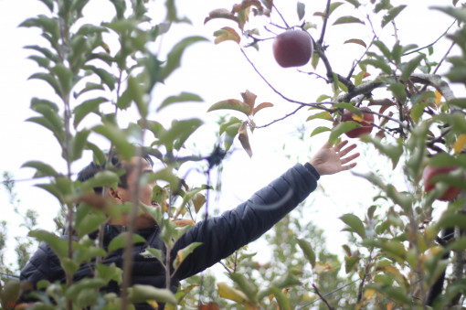 Những điểm nên ghé khi đến Fukushima