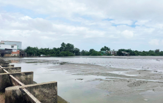 Bình Định khắc phục bùn đất biến "sông thành đầm lầy"