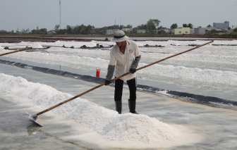 Tìm giải pháp nâng cao thu nhập cho người làm muối ở Bạc Liêu