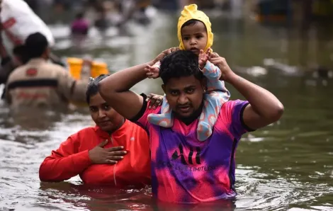 Ít nhất 13 người thiệt mạng khi bão Michaung tấn công miền Nam Ấn Độ