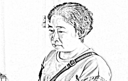 Bắt người phụ nữ lừa đảo 10 tỉ bằng giấy tờ giả