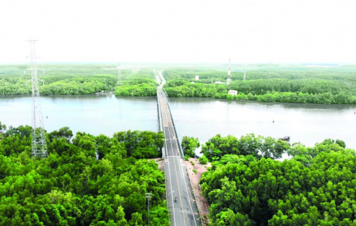 Vì sao chưa trình HĐND TPHCM về chủ trương xây cầu Cần Giờ?