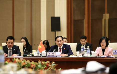 Bộ trưởng Bùi Thanh Sơn đề nghị tăng cường phối hợp Mekong - Lan Thương