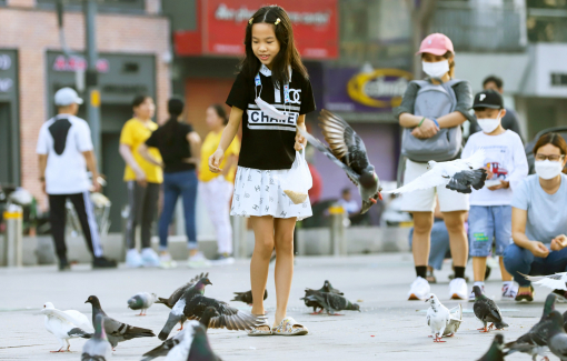 Chọn linh vật cho Sài Gòn - TPHCM, sao không làm ngay?