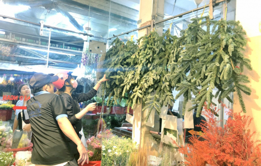 Thông, cây kiểng phục vụ Noel tăng giá, ế ẩm