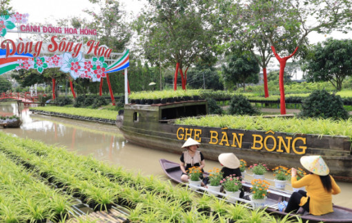 Tôn vinh người trồng hoa Sa Đéc tại festival “Tình đất - Tình hoa”