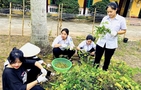 Chuyện ở ngôi trường cấp III nông nghiệp đầu tiên của Việt Nam