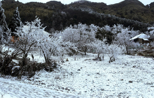 Có thể xuất hiện băng giá trong đợt rét đậm đầu tiên mùa đông 2023-2024