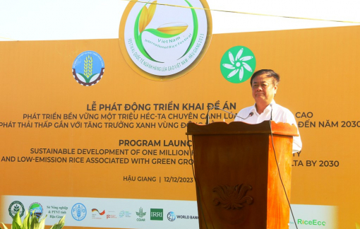 Đề án 1 triệu ha lúa chất lượng cao sẽ giải quyết 3 vấn đề lớn của ngành hàng lúa gạo