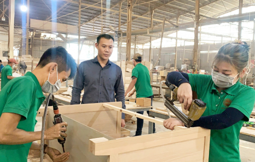 Nhiều người đang mắc bệnh vì ô nhiễm nội thất