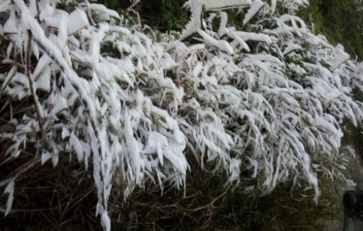 Miền Bắc rét đậm, rét hại có khả năng xuất hiện băng giá