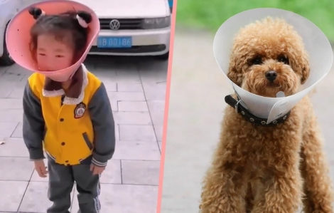 Ông nội cho cháu gái 5 tuổi đeo vòng cổ chó để "cai" điện thoại