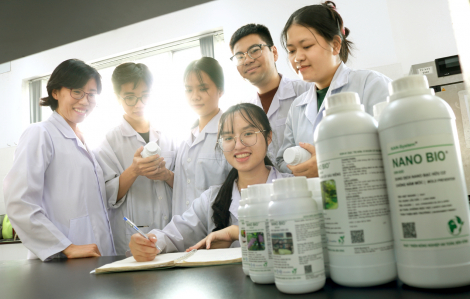 Sinh viên tạo sản phẩm diệt khuẩn an toàn từ lá chè già