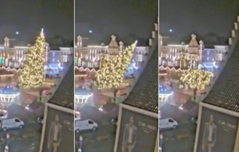 Bỉ: Cây Giáng sinh 20m đổ đè chết người phụ nữ