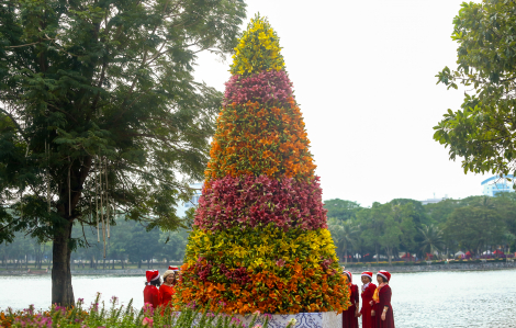 Cây thông Noel làm từ 2.000 hoa ly tại Hà Nội