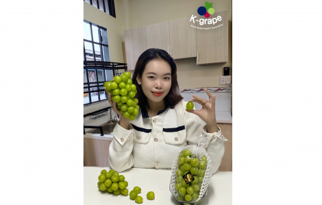 Những lý do khiến chị em chọn nho Shine Muscat Hàn Quốc làm trái cây bổ sung hằng ngày?