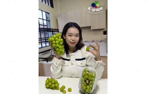 Những lý do khiến chị em chọn nho Shine Muscat Hàn Quốc làm trái cây bổ sung hằng ngày?