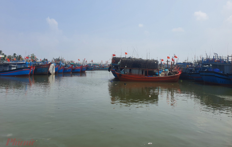 Một chủ tàu cá ở Quảng Ngãi bị phạt hơn 1,7 tỉ đồng