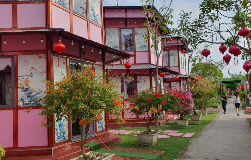 Check-in ngôi nhà màu hồng ở làng hoa Sa Đéc dịp đầu năm