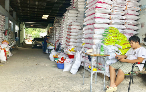 GDP Việt Nam năm 2023 tăng 5,05%