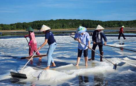 Tour du lịch "sống chậm" ở TPHCM có gì thú vị?