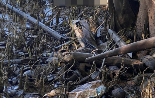 Cô gái bị giết hại và vứt xác phi tang ở sông Hàm Luông