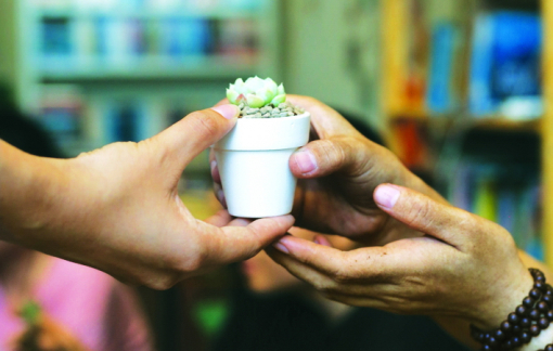 Hành tinh này cần những mầm xanh!