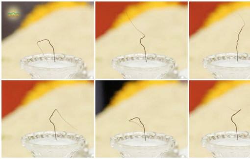 Vụ “xá lợi tóc Đức Phật”: Trụ trì chùa Ba Vàng bị kỷ luật, phải sám hối