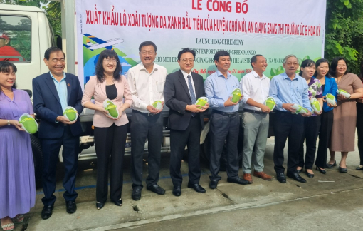 Xuất khẩu 7 tấn xoài tượng da xanh sang thị trường Úc và Mỹ