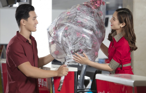 Vietjet vận chuyển mai, đào - Mang xuân đến mọi nhà