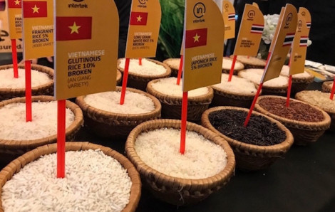 Giá gạo xuất khẩu Việt Nam cao hơn Thái Lan không phải do "ăn may"
