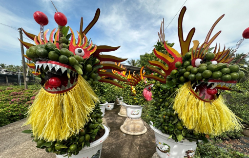 Linh vật rồng được uốn từ cây tắc phục vụ thị trường tết