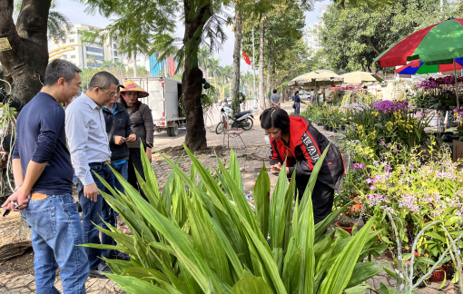 Hoa tết xuống đường sớm, người bán thấp thỏm