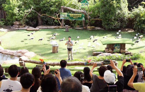 Việt Nam - điểm đến quyến rũ của du khách Hàn Quốc