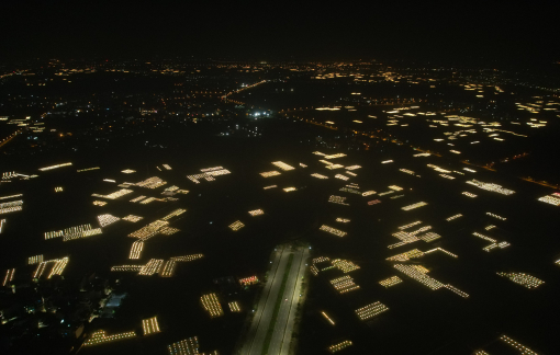 Người dân chong đèn xuyên đêm ép hoa nở đúng vụ để bán tết