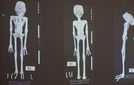 "Xác ướp người ngoài hành tinh" ở Peru là búp bê làm từ xương