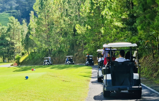 Xử phạt 8 hướng dẫn viên du lịch Việt Nam vì để người nước ngoài 'tự hướng dẫn'