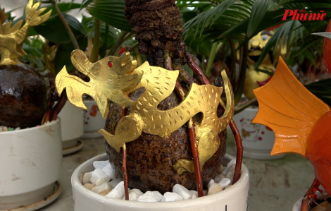 Dừa bonsai tạo hình con giáp, hút khách dịp tết