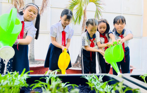 Tổ chức phiên chợ, vườn rau từ thiện giúp trẻ hình thành lòng yêu thương