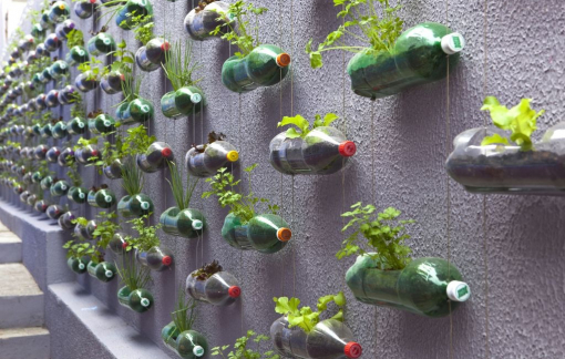 Trao giải cuộc thi "Cùng HTV hành động xanh"