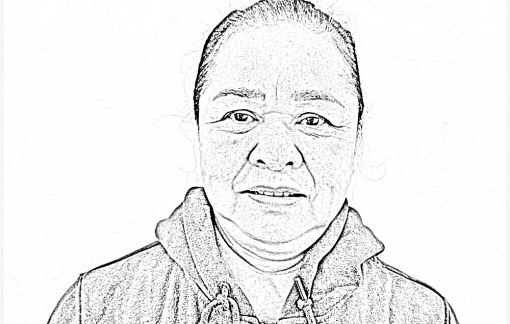 Bắt giam Chủ tịch HĐTV Công ty TNHH vận tải Thủy bộ Hải Hà