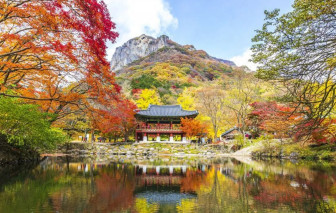 13 ngôi chùa đẹp nhất ở Hàn Quốc đông người đến vào mùa xuân