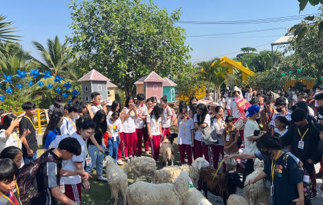 3.000 trẻ em nghèo, mồ côi tham quan khu vui chơi, nhận lì xì đầu năm